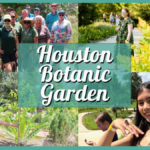 Houston Botanic Garden Tickets, Coupons, Discounts, and More!