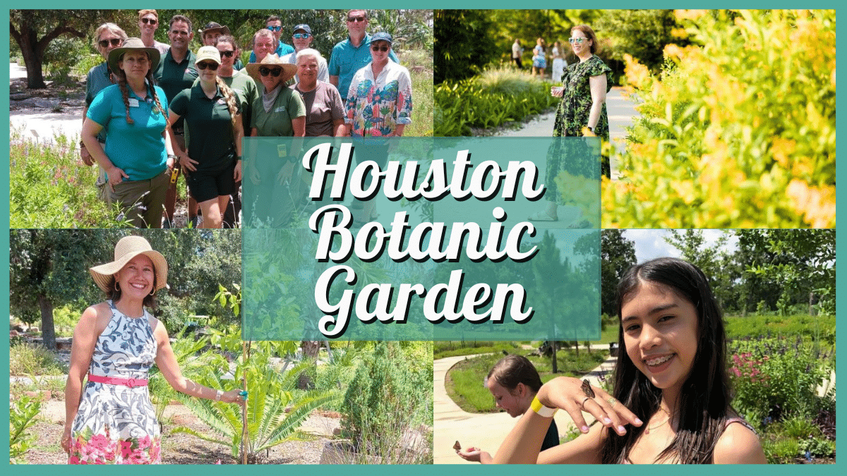 Houston Botanic Garden