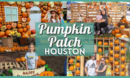 Pumpkin Patch Houston 2024 – Best Local Pumpkin Farms & Patches in Texas