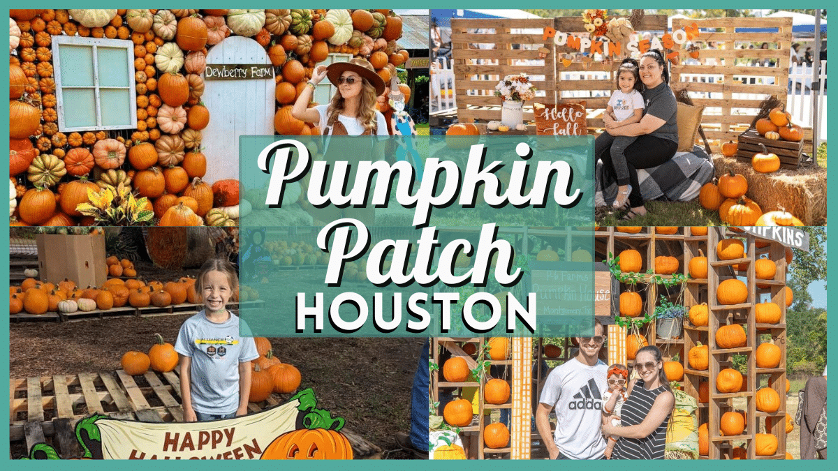 Pumpkin Patch Houston