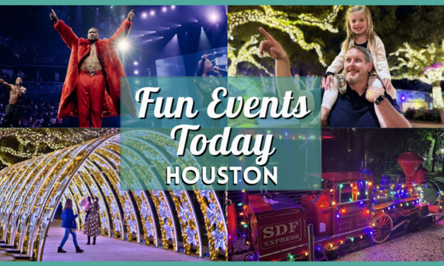 Fun Events in Houston Today, Friday, the 29th of November, 2024