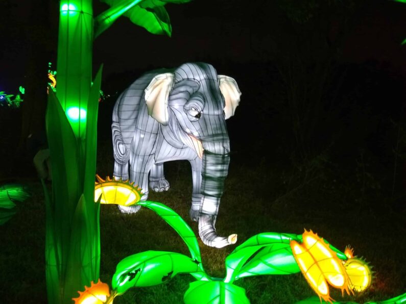 Radiant Nature 2024 Lighted Eliphant Display at Houston Botanic Garden