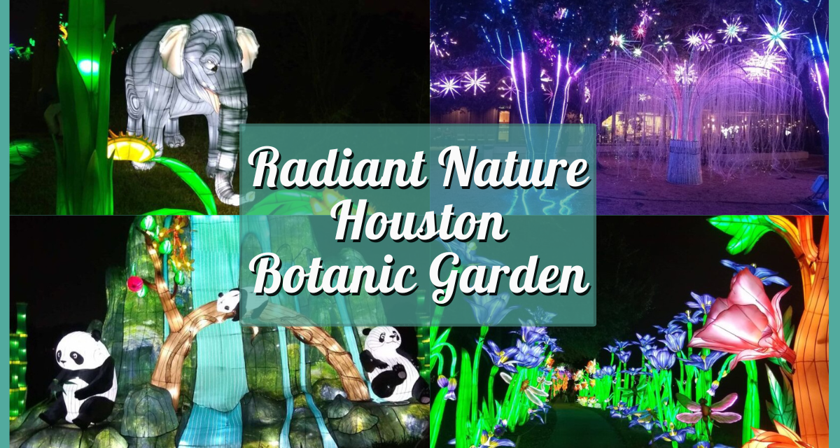 Guide to Radiant Nature Houston Botanic Garden 2024 – My Experience at this Dazzling Light Show!