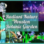 Guide to Radiant Nature Houston Botanic Garden 2024 – My Experience at this Dazzling Light Show!