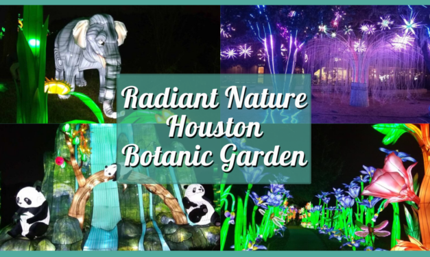 Guide to Radiant Nature Houston Botanic Garden 2024 – My Experience at this Dazzling Light Show!