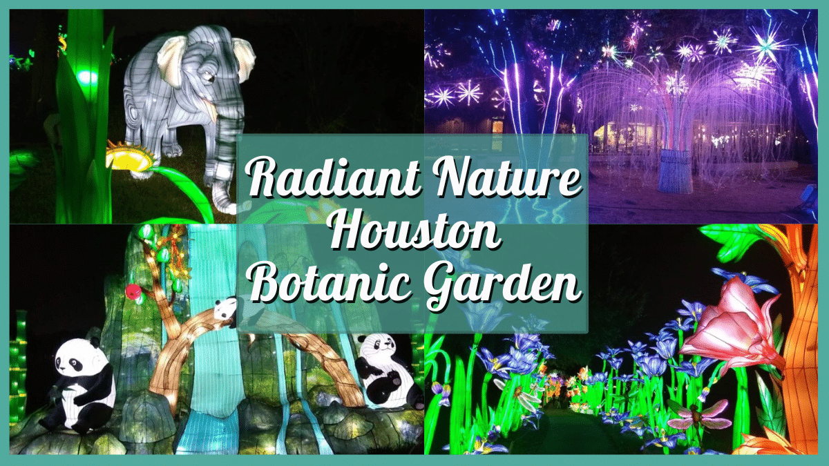 Radiant Nature Houston Botanic Garden