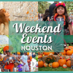 Free and Cheap Events in Houston this weekend of November 8 Include 34th Native American Pow Wow 2024, Winter Wonderlawn, & more!