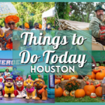 Things to Do in Houston Today, Saturday, the 9th of November, 2024