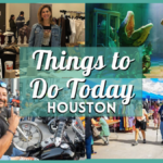 Things to Do in Houston Today, Sunday, the 3rd of November, 2024