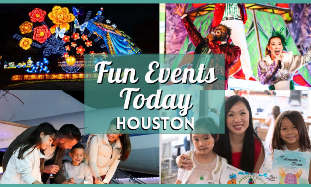 Fun Events in Houston Today, the Saturday, 28th of December, 2024