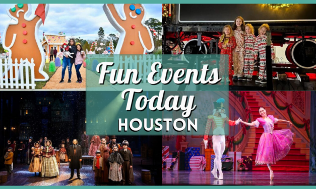 Fun Events in Houston Today, the Sunday, 29th of December, 2024