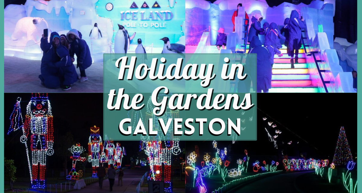 Holiday in the Gardens 2024 – Moody Gardens Festival of Lights and More!