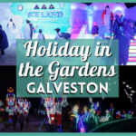 Holiday in the Gardens 2024 – Moody Gardens Festival of Lights and More!