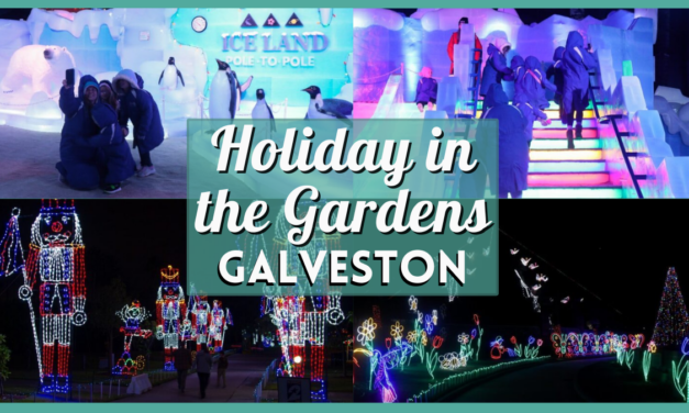 Holiday in the Gardens 2024 – Moody Gardens Festival of Lights and More!