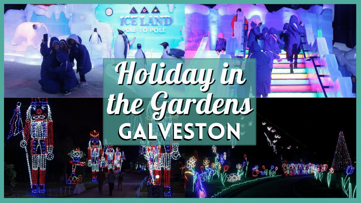 Holiday in the Gardens 2024 - Moody Gardens Festival of Lights and More!