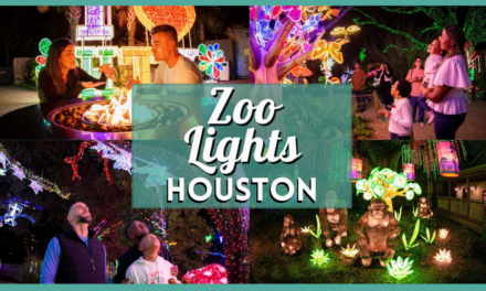 Zoo Lights Houston 2024 – Hours, Tickets, Discounts, and More!