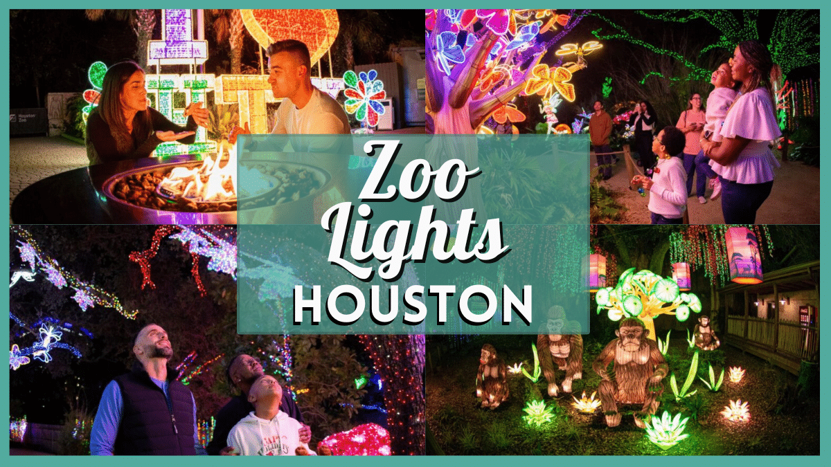 Zoo Lights Houston