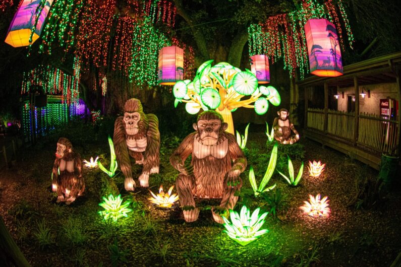 houston zoo lights