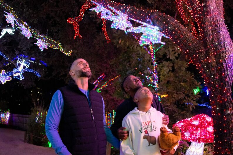 zoo lights houston 2024