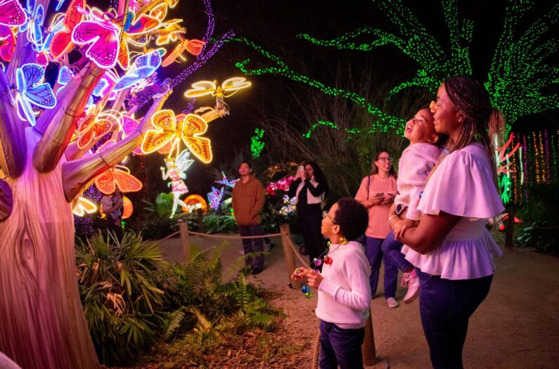 zoo lights houston